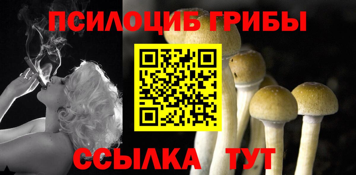 купить наркотик  Псилоцибиновые грибы прущие грибы  Вход с VPN  Кумертау 